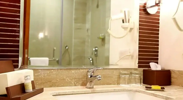 Номер Deluxe с балконом The Nikunj Hotels