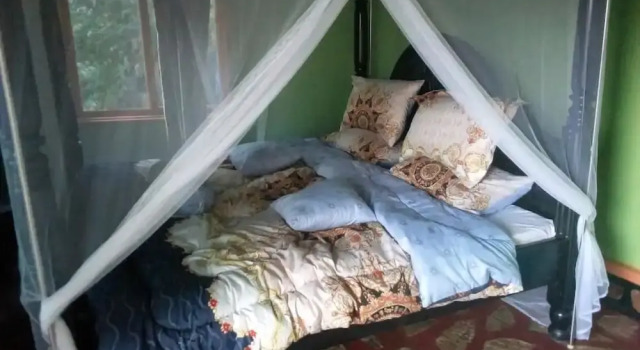 Economy Zimmer Paradise Eco-Hub