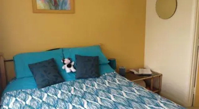 The Lazy Cow Backpackers