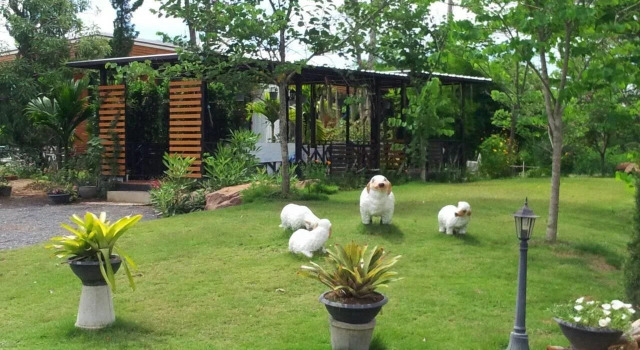 The Creek Villa, Rezervovat Vila Chaty v North-Eastern Thailand, Chalupa