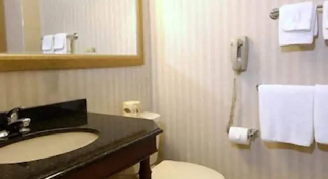 Двухместный номер Standard Rockville Centre Hotel - JFK Airport