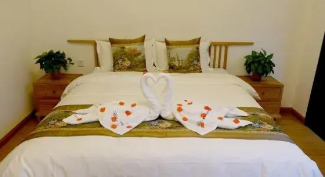 Suite 2 camere A Tree Hostel