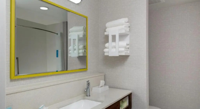 Люкс Hampton Inn & Suites Avon Indianapolis