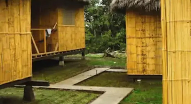 Standard- værelse Amazon Dolphin Lodge