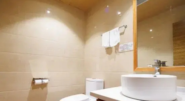 Двухместный номер Standard Gokurakuyu Hot Spring Hotel Shanghai Chuansha