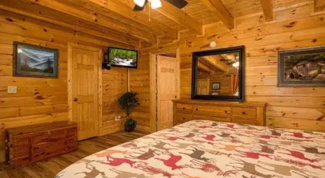 Moose Behaving 2 Br cabin by RedAwning