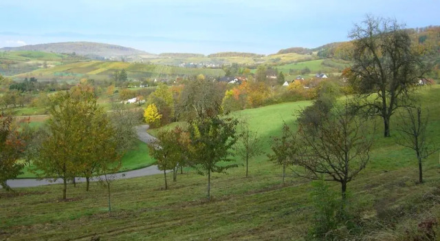 Ferienhaus Zur Alten Dame, Reserva ahora Hotel Hoteles en Baden-Wurtemberg con aparcamiento, Aparcamiento