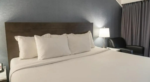 Suite Red Carpet Inn