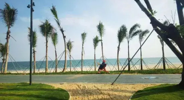 xichao seaview designer house (shanwei poly golden bay store