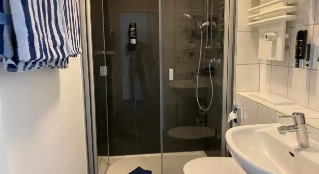 Номер Standard Trip Inn Parkhotel Bad Ems