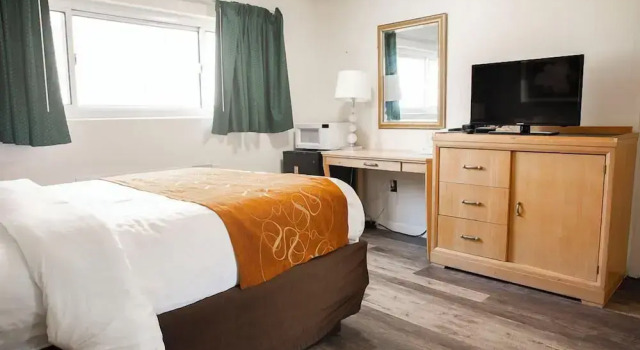 Номер Standard Bedford Motel