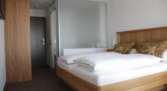 Двухместный номер Standard Hotel Alpina