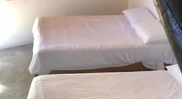 Номер Deluxe Lush Boutique Hotel