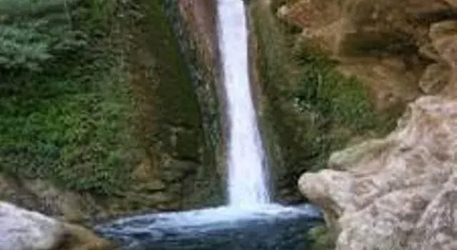 High Bank Himalayan Retreat, Rezerwuj Hotel Hotele w Uttarakhand z basenem, Basen