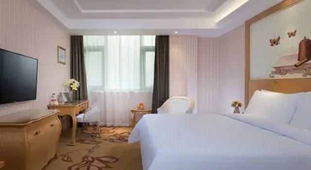Люкс Deluxe Vienna hotel