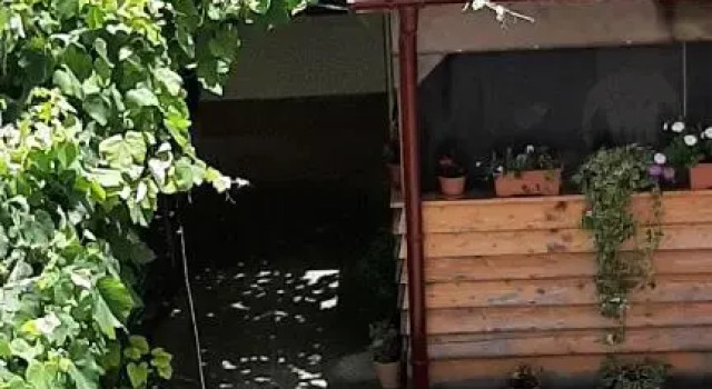 BCM Family House, Đặt Nhà khách Nhà khách ở Constanta, Nhà khách