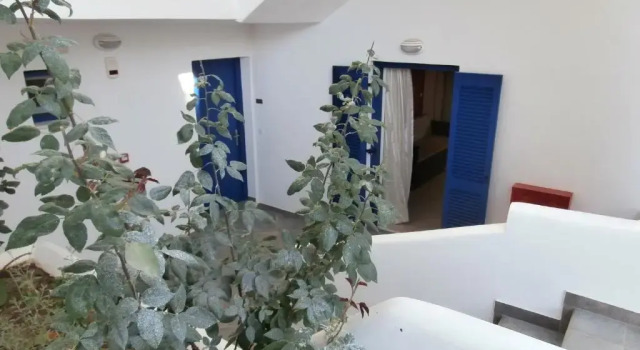 Апартаменты Economy Katerina Hotel