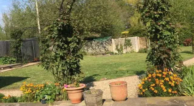 Little Orchard Cottage