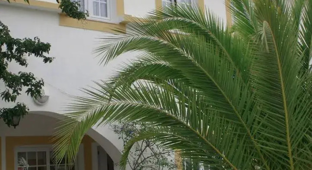 Quinta Do Moinho De Vento Duna Parque Resorts & Hotels