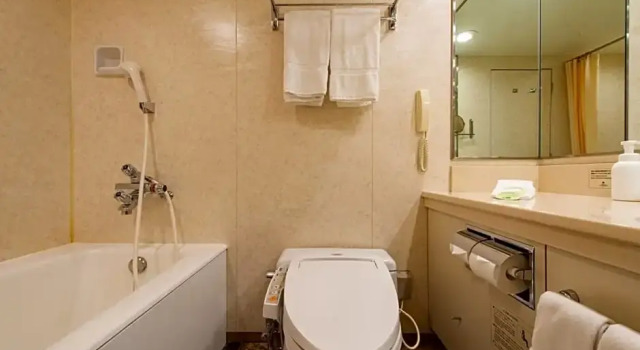 Номер Superior Okura Act City Hotel Hamamatsu