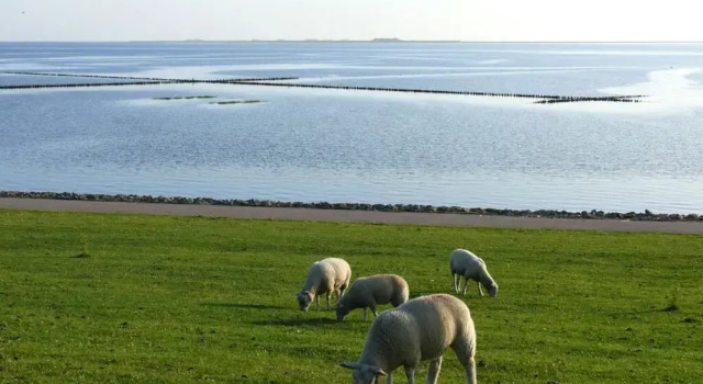 Frisian House by the sea