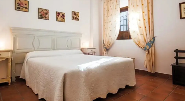 Номер Standard Palacio las Manillas