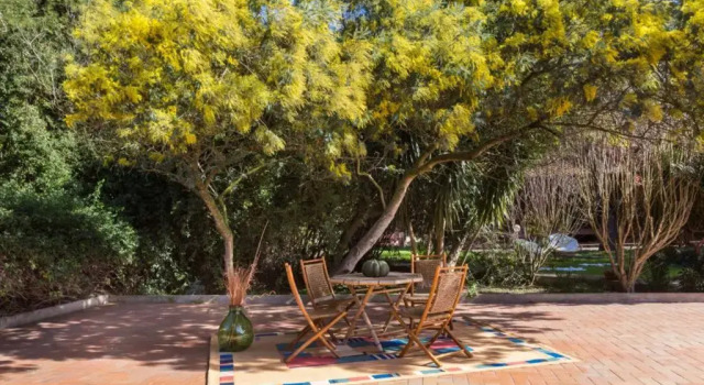 Двухместный номер Standard с красивым видом из окна Agriturismo Le Mimose