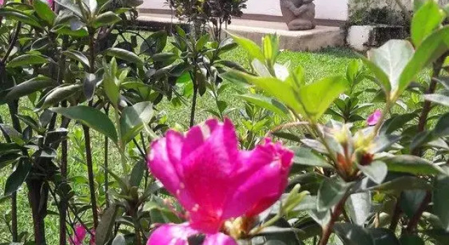 Rancho La Botija Hotel de Montaña, Забронировать Отель Отели Сан-Хосе 3 звезды, 3*