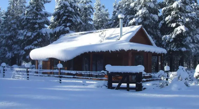 Шале Woodbank Park Cottages