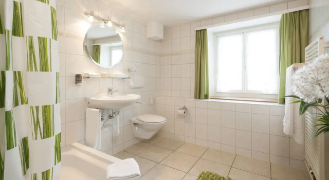 Двухместный номер Comfort Hotel Landgasthof Hirschen