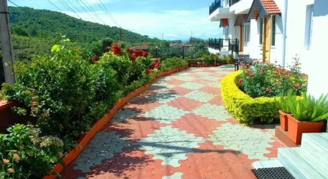 Temple Tree Homestay, Prenota Hotel Kutta 