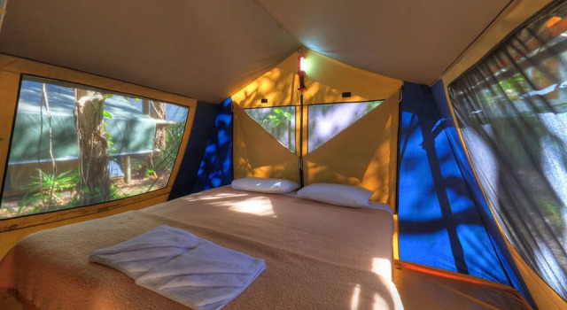 Cathedrals on Fraser - Campsite, Boek Camping Orchid Beach Australië