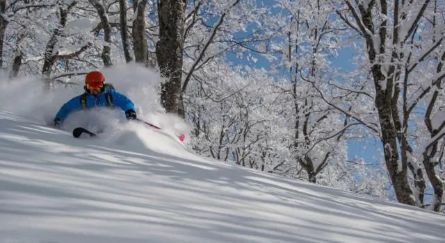 Кровать в общем номере Morino Lodge Myoko - Hostel