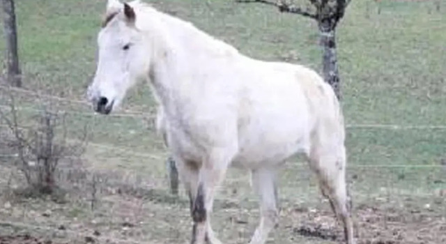 Коттедж Gite de Fontepaisse
