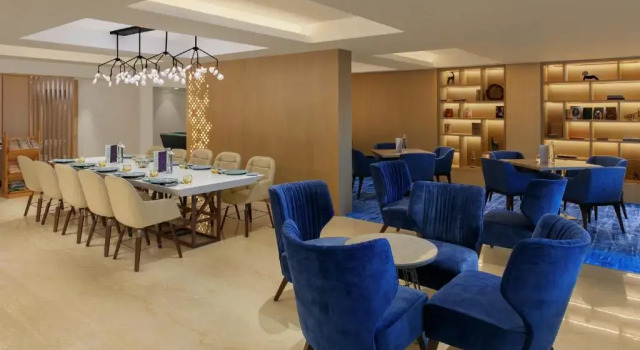 Полулюкс Premier Novotel Ahmedabad