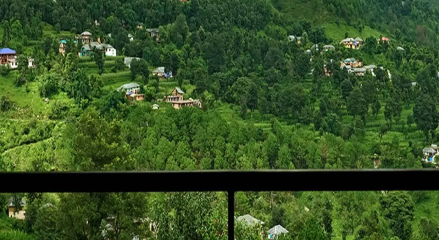 Люкс Дуплекс с красивым видом из окна Araiya Palampur