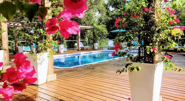 Orchid Estate #1, Buchen Sie Hotel Naples 
