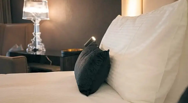 Номер Superior Hotel Dakota