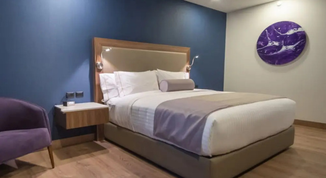 Двухместный номер Standard с видом на город Sheraton Guadalajara Expo