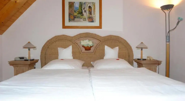 Двухместный номер Standard Hotel Sarbacher