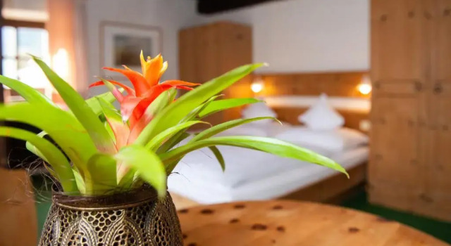 Двухместный номер Standard с балконом B&B Unterhabsbergerhof