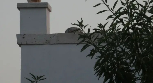 L'Antico Casolare B&B