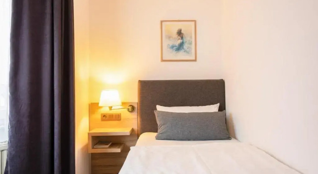Номер Standard Hotel Freihof