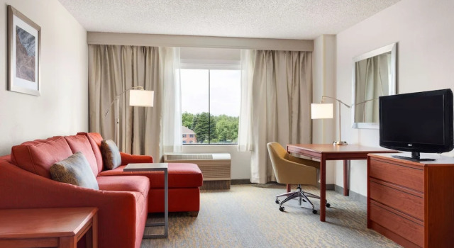 Люкс c 1 комнатой Hampton Inn & Suites Denver-Cherry Creek