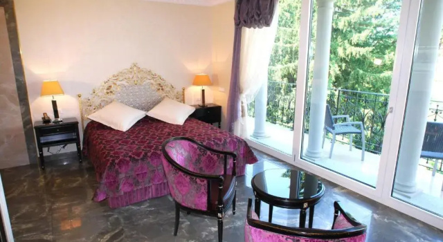Двухместный номер Privilege с видом на парк Continental Parkhotel