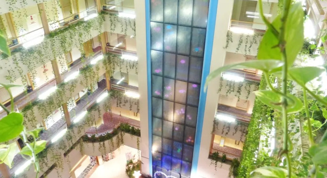 Hotel Sakura Ureshino, Buchen Sie Hotel Ureshino Saga