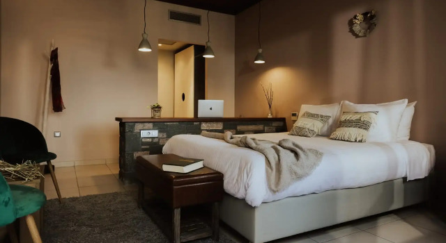 Двухместный номер Standard Rouista Tzoumerka Resort