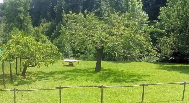 Appartamento La Casa nel Bosco, Book Apartment Rueglio Piedmont