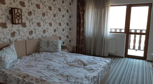 Номер Standard Pensiunea Arido