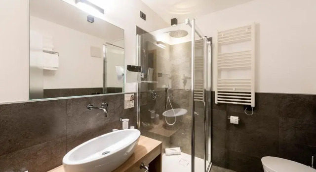 Номер Economy Chalet Aster